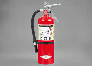 Buckeye ABC Dry Chemical Fire Extinguisher w/ Wall Hook – 5 lb.