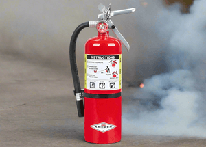 Buckeye ABC Dry Chemical Fire Extinguisher w/ Vehicle Bracket – 5 lb.