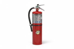 Buckeye ABC Dry Chemical Fire Extinguisher w/ Wall Hook – 10 lb.