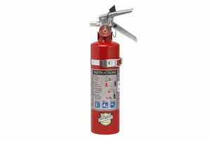 Buckeye ABC Dry Chemical Fire Extinguisher w/ Vehicle Bracket – 2.5 lb.