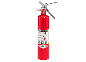 Buckeye ABC Dry Chemical Fire Extinguisher w/ Vehicle Bracket – 2.5 lb.
