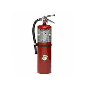 Buckeye ABC Dry Chemical Fire Extinguisher w/ Wall Hook – 10 lb.